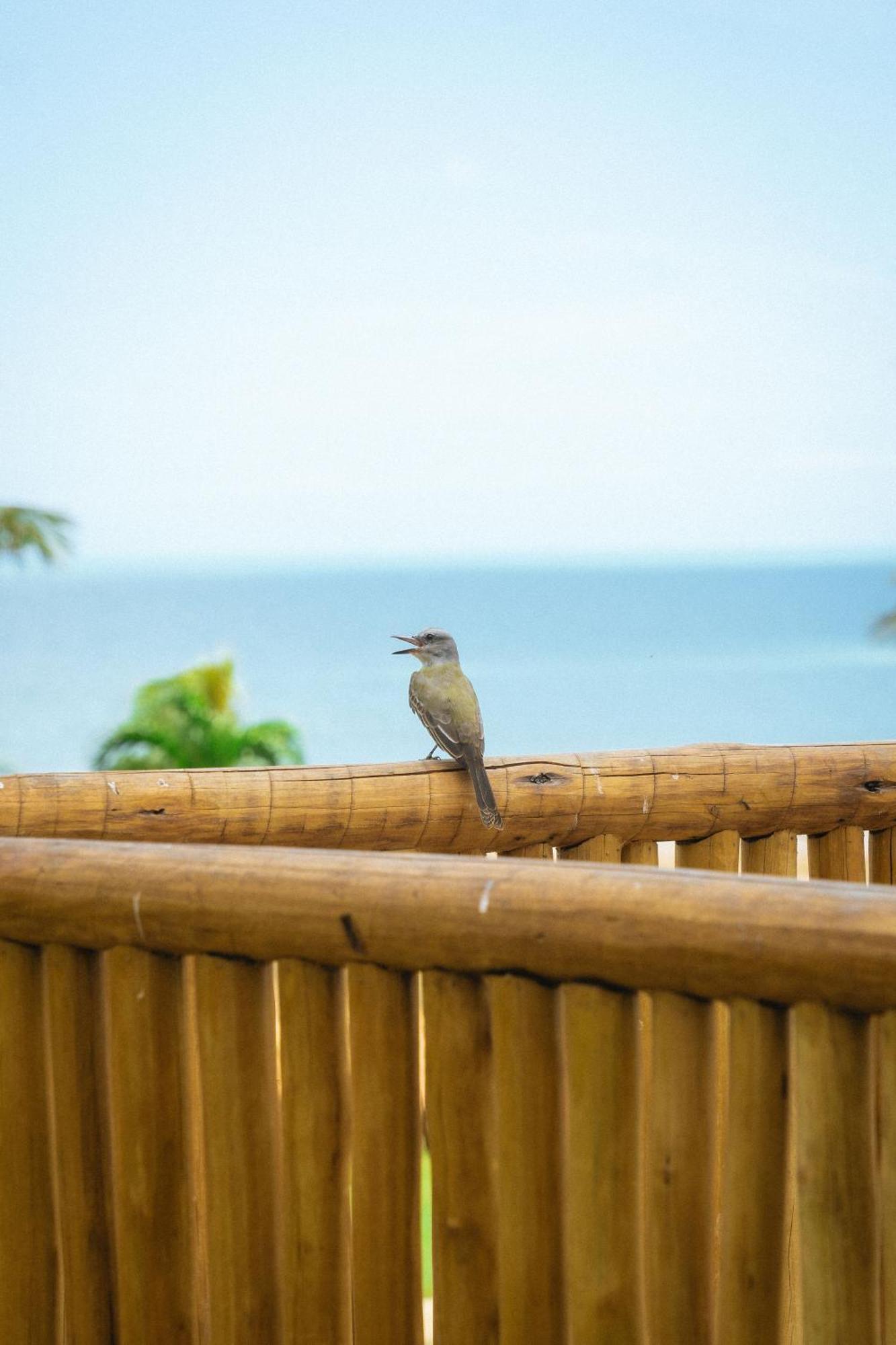 Hurricane Jeri Estalagem Jijoca de Jericoacoara